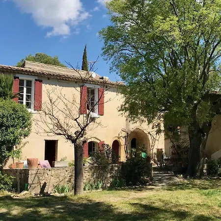 Sous Le Micocoulier